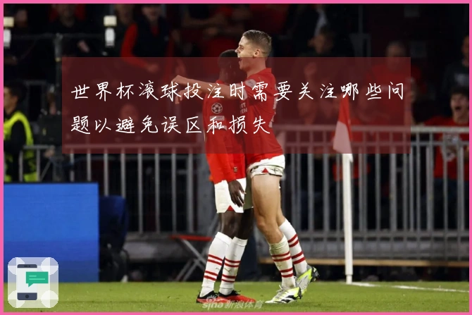 世界杯滚球投注时需要关注哪些问题以避免误区和损失